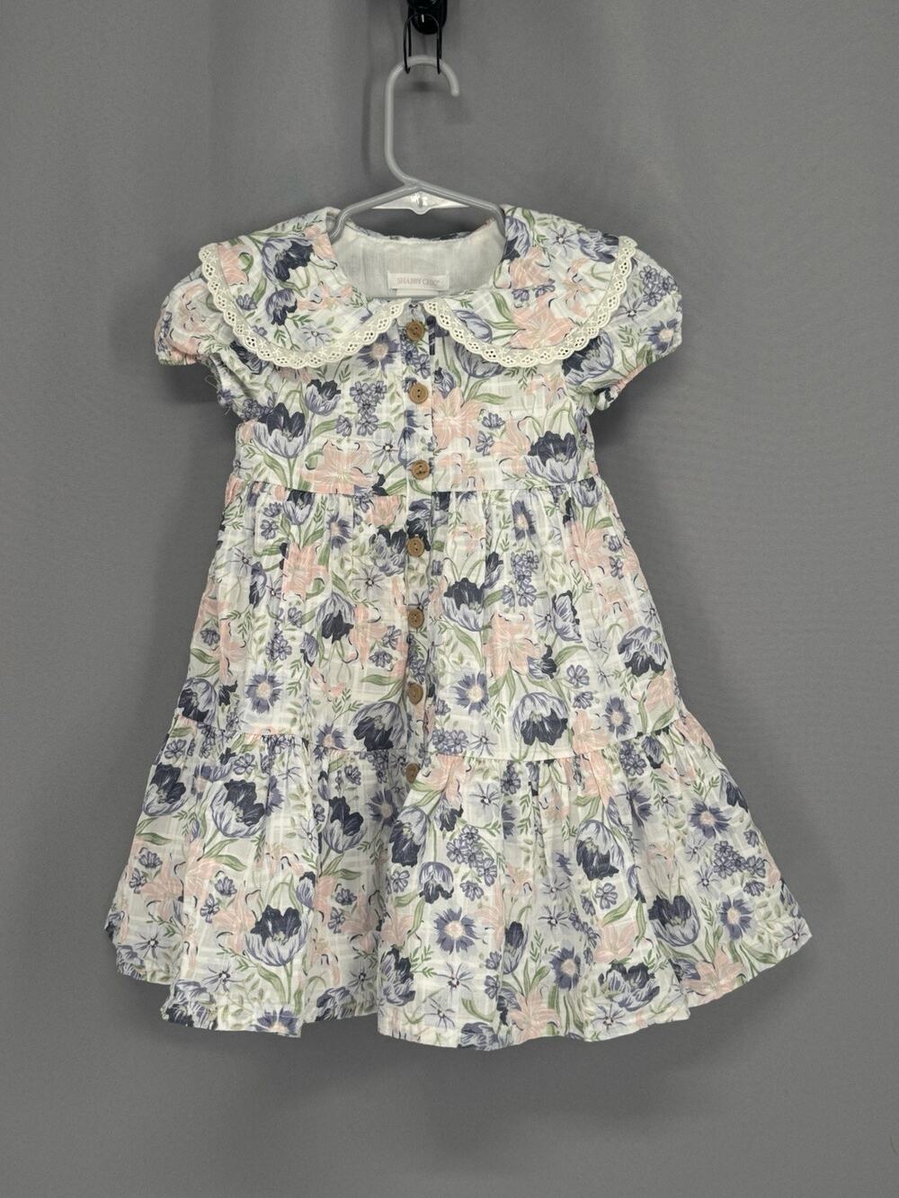 Shabby Chic Floral Dress Little Girl Size 3T Lined Button Front Dainty